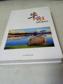 牛角杨志安北方文艺出版社