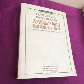 大型地产项目全案策划应用指南