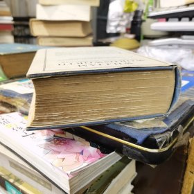 William Wordsworth: His Life, Works, and Influence（乔治·麦克林恩·哈珀《华兹华斯传》一卷本，配插图，布面精装 （民国1928年印）