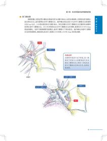 新华正版 肝胆胰外科手术实录（翻译版） 唐伟 著 9787117288170 人民卫生出版社