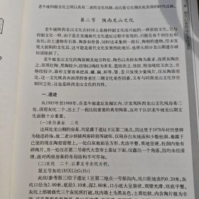 老牛坡:西北大学考古专业田野发掘报告