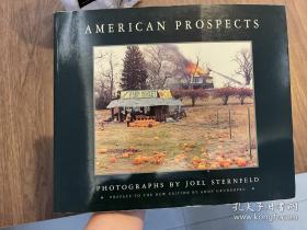 美国景象 American Prospects