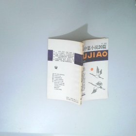 爭鳴中篇小說20篇