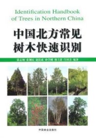 中国北方常见树木快速识别