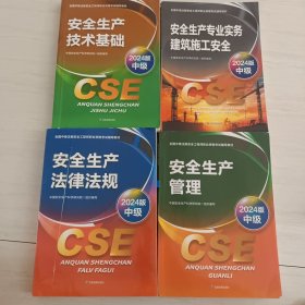 全国中级注册安全工程师职业资格考试辅导教材:安全生产技术基础、安全生产管理、安全生产法律法规、安全生产专业实务建筑施工安全