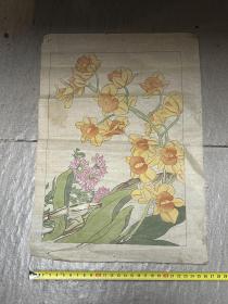 旧画一张 工笔花鸟画