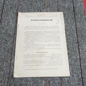 西沙群岛的砗磲科软体动物