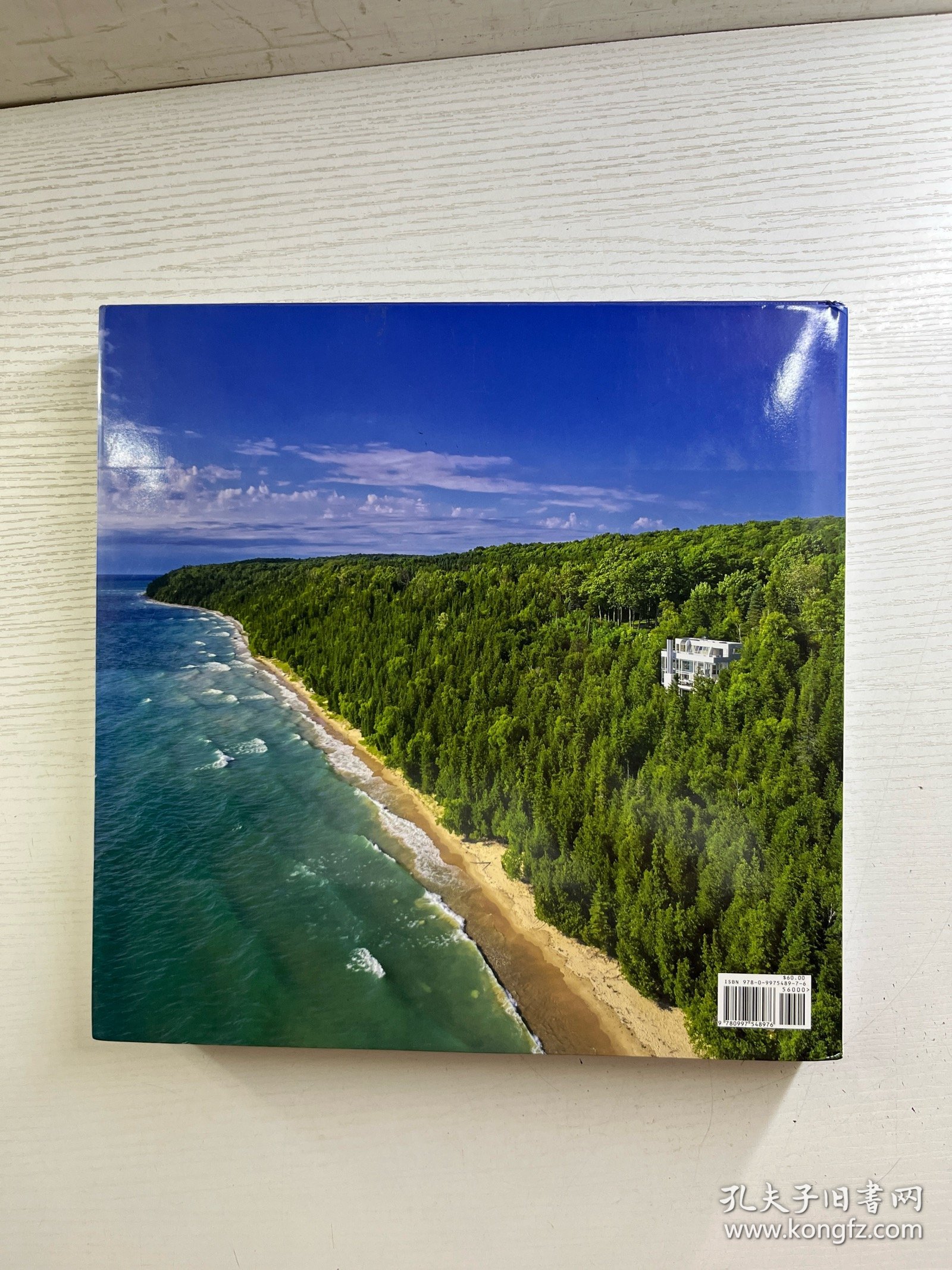 Michigan Modern: An Architectural Legacy 密歇根现代：建筑遗产（2018年英文版）大开本（精装如图、内页干净）