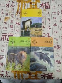 《鸟奴》《大鱼之道》《雄狮去流浪》三本合售