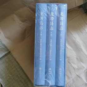 龙游县志（上中下）