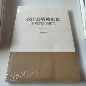 我国县域城镇化发展路径研究