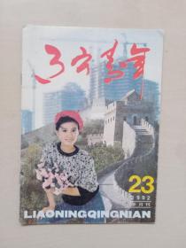 老杂志《辽宁青年》1992年第23期，1992.23，总第482期，半月刊