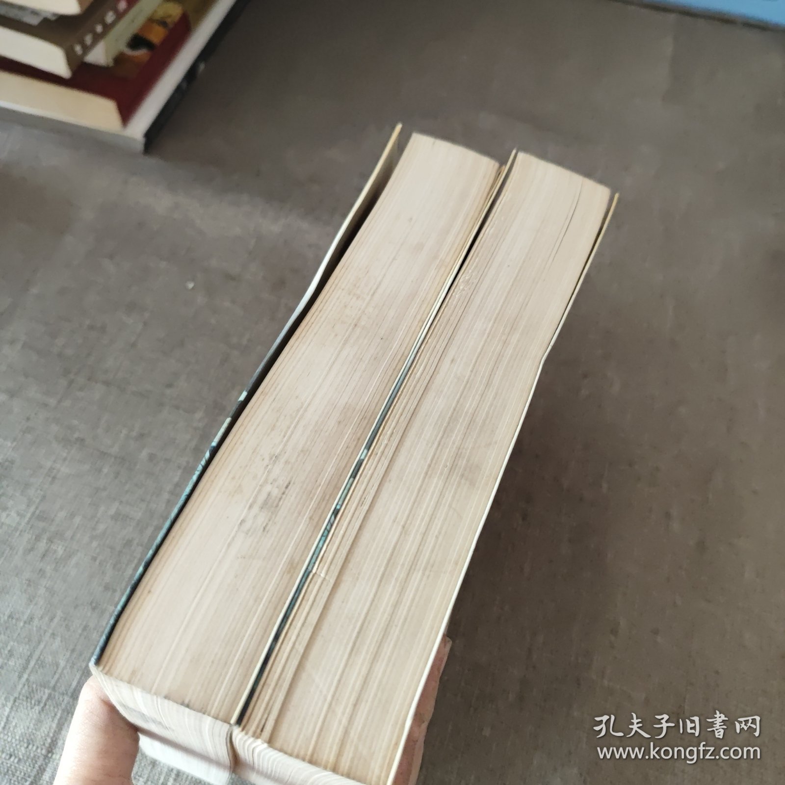 20世纪中国文学作品选读(上下卷)