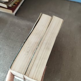 20世纪中国文学作品选读(上下卷)