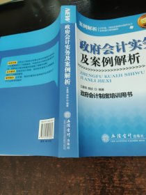 政府会计实务及案例解析