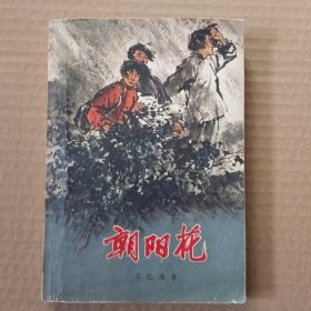 朝阳花