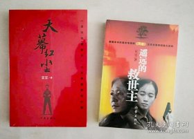 正版新书/ 遥远的救世主+天幕红尘 全套2册 豆豆作品集 现当代经典文学名著无删减天道长篇小说原著