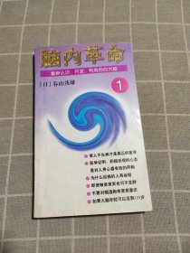 脑内革命 第一卷:重新认识、开发、利用你的大脑：重新认识、开发、利用你的大脑--第一卷的新描述