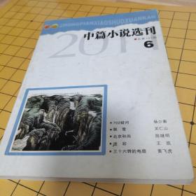 中篇小说选刊2011，6