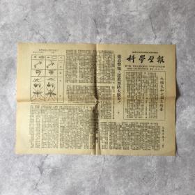 【老报纸】科学壁报 1953年8月5日 第30期 预防大脑炎专刊（杨村：怎样消毒；贺之：大脑炎和大脑炎病毒；恒：提高警惕，认真预防大脑炎；蚊子图谱；殷：大脑炎的传染媒介——蚊子——