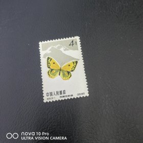 特56-1 蝴蝶邮票新票散票 纪特五朵金花之一！非常精美！包邮！全品 收藏