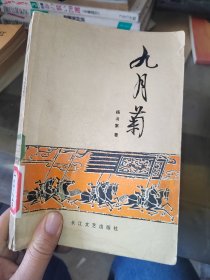 九月菊，有点水印看图为标准