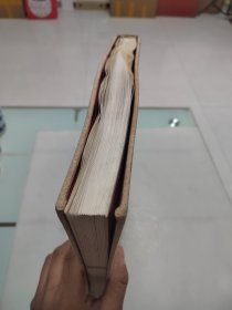 王震(大8开画册)