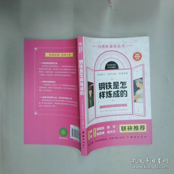 钢铁是怎么样炼成的  奥斯特洛夫斯基 团结出版社