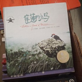 1中国原创绘本 莲蓬与小鸟