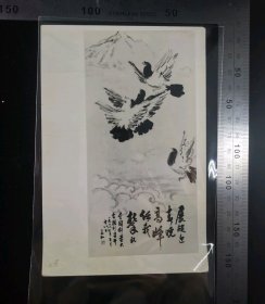 老照片:新华社发著名画家蒋兆和为祝全国科学大会胜利召开而作画作《国画展翅迎春晓,高峰任我攀》原版照片,编号第0472号(452329),八寸照片,亮面相纸,无齿边,1978年3月27日,15.5×10厘米,gyx22303