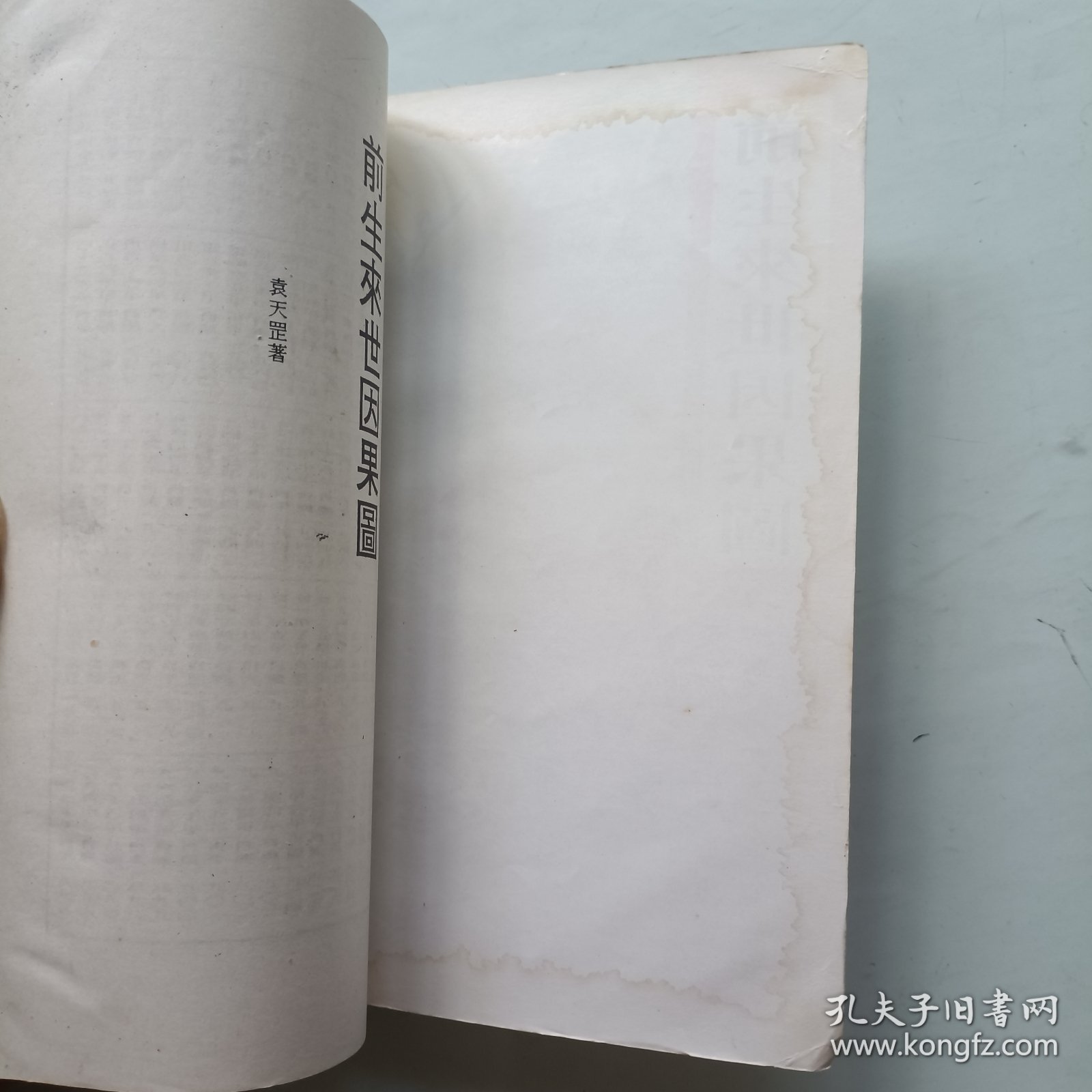 前生来世因果图