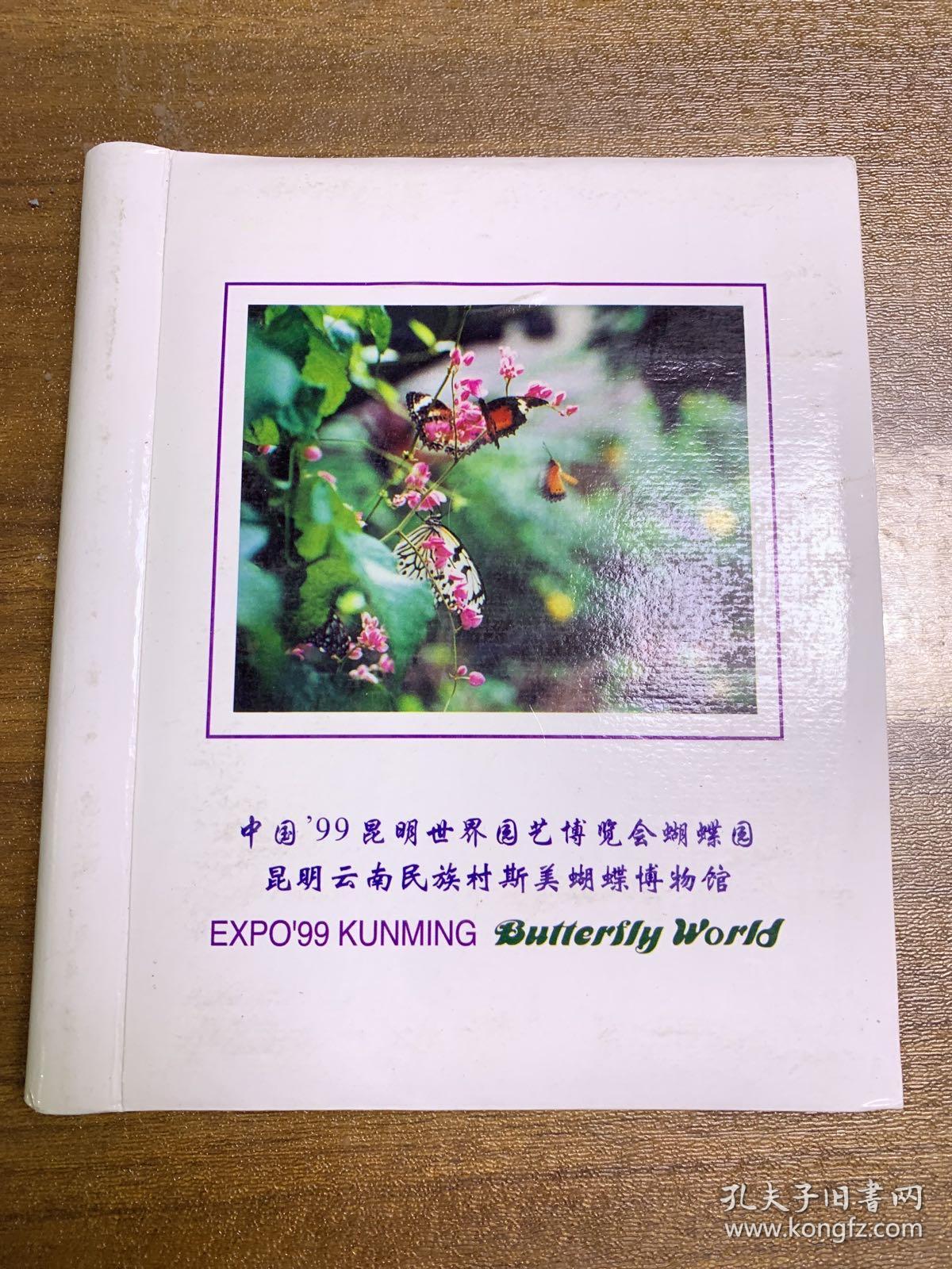 中国九九昆明世界园艺博览会蝴蝶园