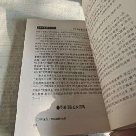 青春的浩劫:来自东方神坛的档案