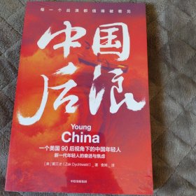 中国后浪戴三才著一个美国90后视角下的中国年轻人生活纪实