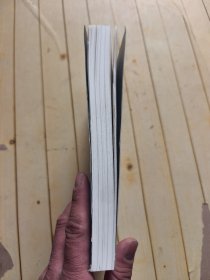 西藏妈妈 雪域高原母亲书写人间大爱传奇纪实文学 深入采访记录西藏爱心妈妈们与孤儿孩子无私大爱的感人故事
