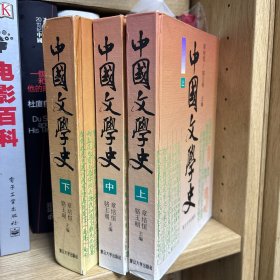 中国文学史（上中下）
