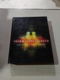 SWARM INTELLIGENCE:群体智能