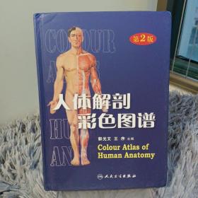 人体解剖彩色图谱