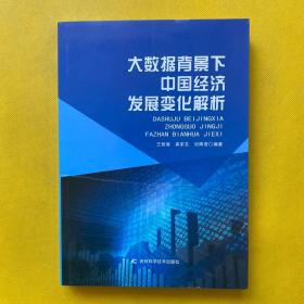 大数据背景下中国经济发展变化解析