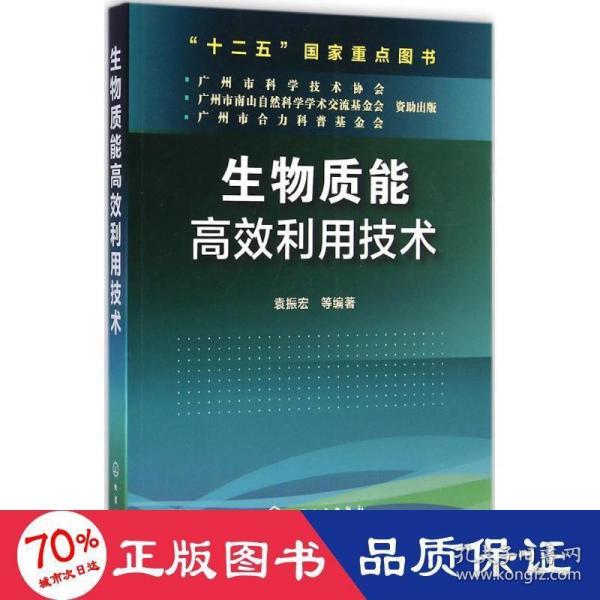 生物质能高效利用技术