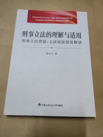 刑事立法的理解与适用：刑事立法背景、立法原意深度解读