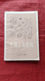 艺用人体结构