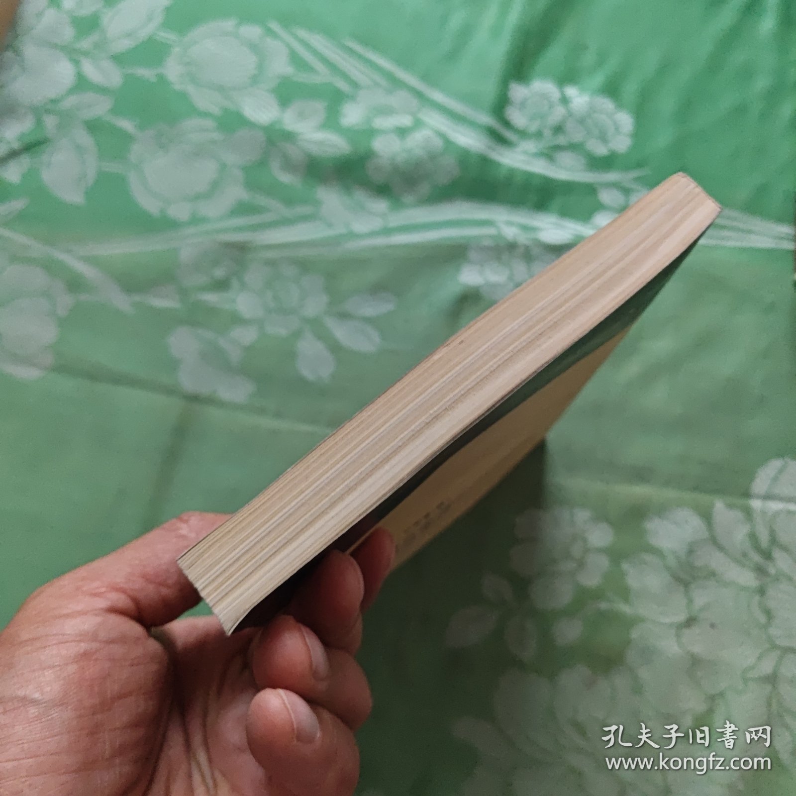 抉择:对现实存在的社会主义的批判