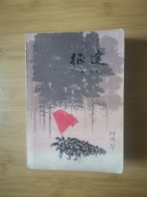 征途 v