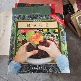 盆栽花艺