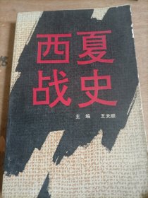 西夏战史