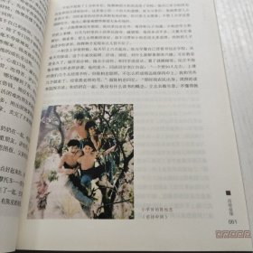 陈皮世家