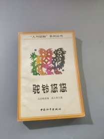 驼铃悠悠