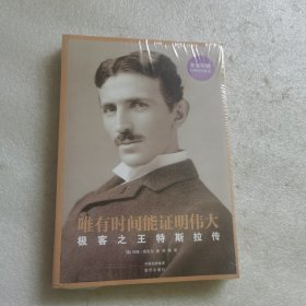 唯有时间能证明伟大：极客之王特斯拉传