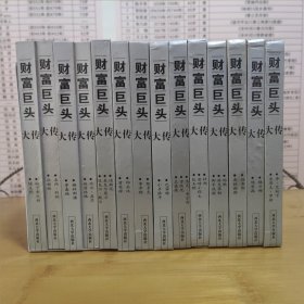 财富巨头大传（14本合售）